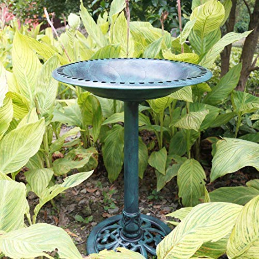 Bird Bath with Solar Fountain  - Outdoor Power Pedestal บทวิจารณ์และราคา